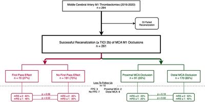 First Pass Effect and Location of Occlusion in Recanalized MCA M1 Occlusions